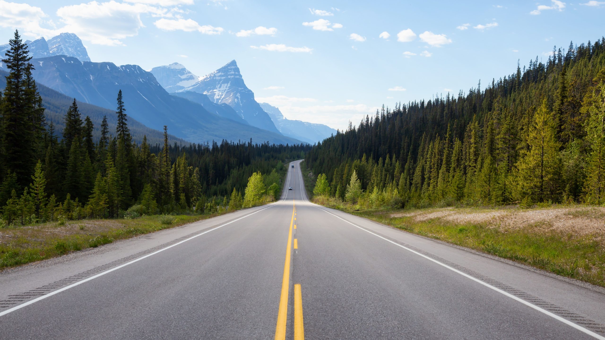 Reisespezialist/in (80-100%) - Wohlen AG