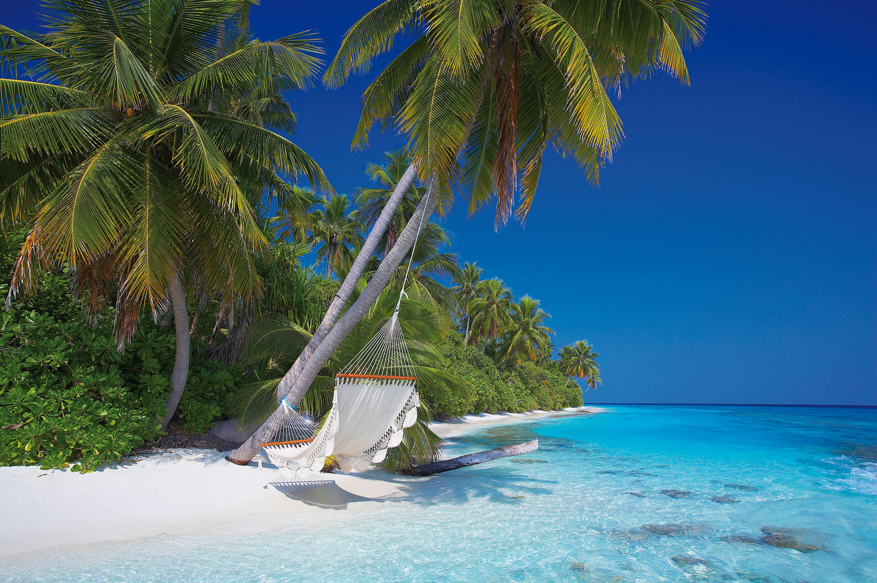 Reisespezialist/in (40-60%) - Winterthur